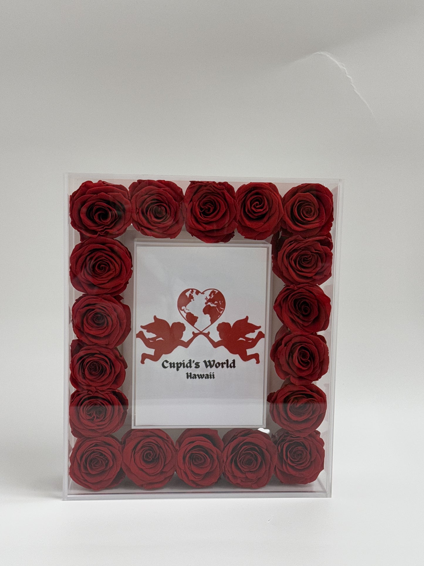 Frame with Preserved Roses