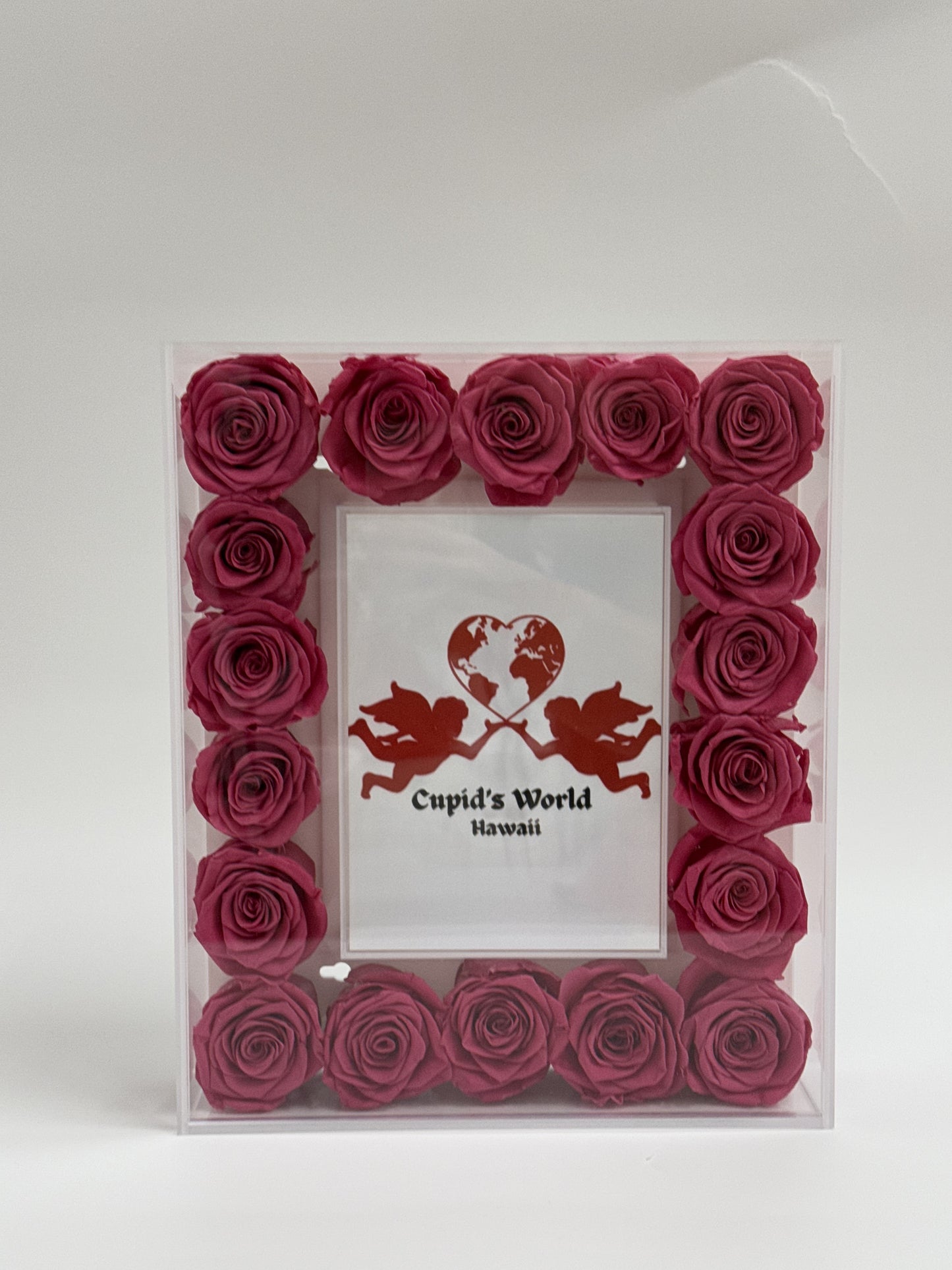 Frame with Preserved Roses