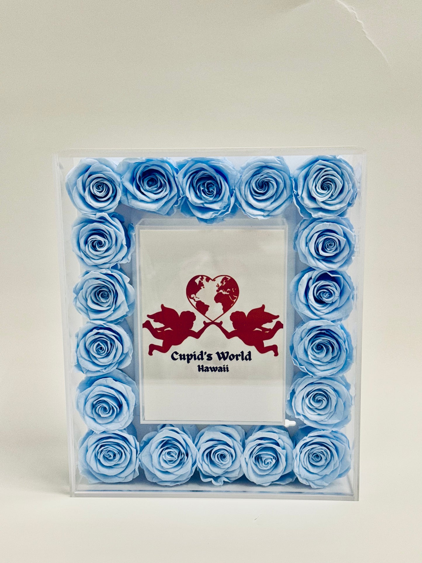 Frame with Preserved Roses