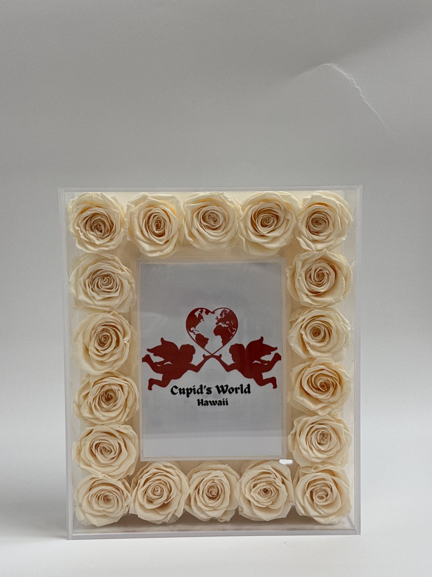 Frame with Preserved Roses